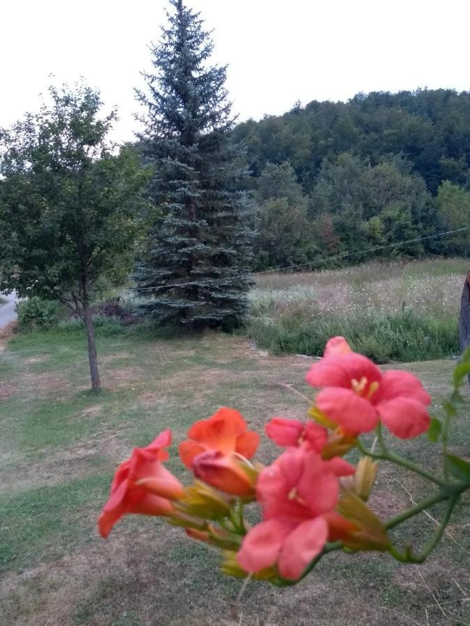 Apartman Sveti Rok Екстер'єр фото